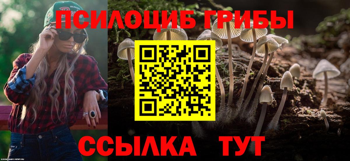 Псилоцибиновые грибы Psilocybine cubensis Минеральные Воды